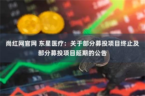 尚红网官网 东星医疗：关于部分募投项目终止及部分募投项目延期的公告