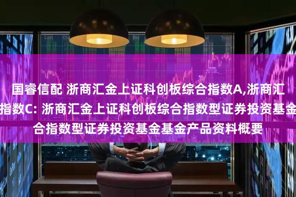 国睿信配 浙商汇金上证科创板综合指数A,浙商汇金上证科创板综合指数C: 浙商汇金上证科创板综合指数型证券投资基金基金产品资料概要