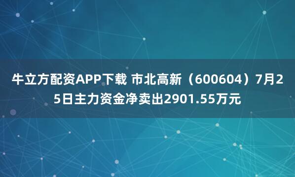 牛立方配资APP下载 市北高新（600604）7月25日主力资金净卖出2901.55万元