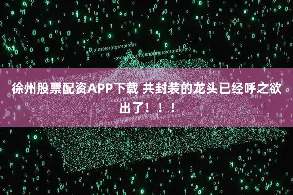 徐州股票配资APP下载 共封装的龙头已经呼之欲出了！！！