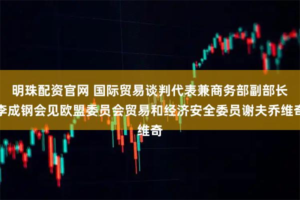 明珠配资官网 国际贸易谈判代表兼商务部副部长李成钢会见欧盟委员会贸易和经济安全委员谢夫乔维奇